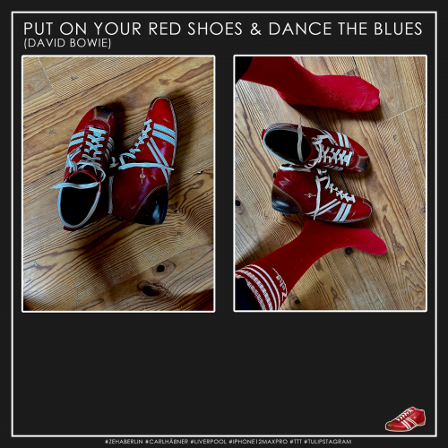 Put on your red shoes & dance the Blues. #Zehaberlin #Carlhäßner #Liverpool #iPhone12maxpro #TTT #Tulipstagram 