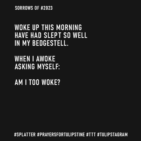 Sorrows of #2023 Am I Too Woke? #Splatter #PrayersforTulipstine #TTT #Tulipstagram