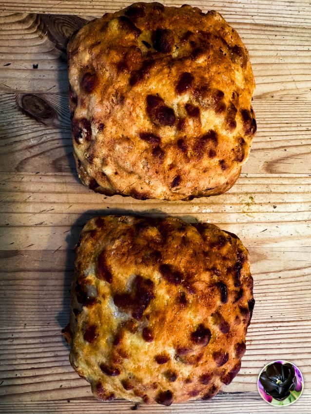 Ist ein gutes Brötchen. 04.05.24 #Käsebrötchen #GerichtspunkteDE #TTT #Tulipstagram