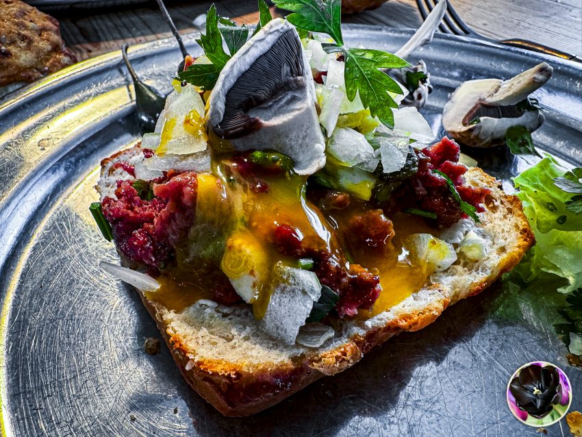 04.05.24 #TatardeBoeuf #gerichtspunkteDE #TTT #Tulipstagram