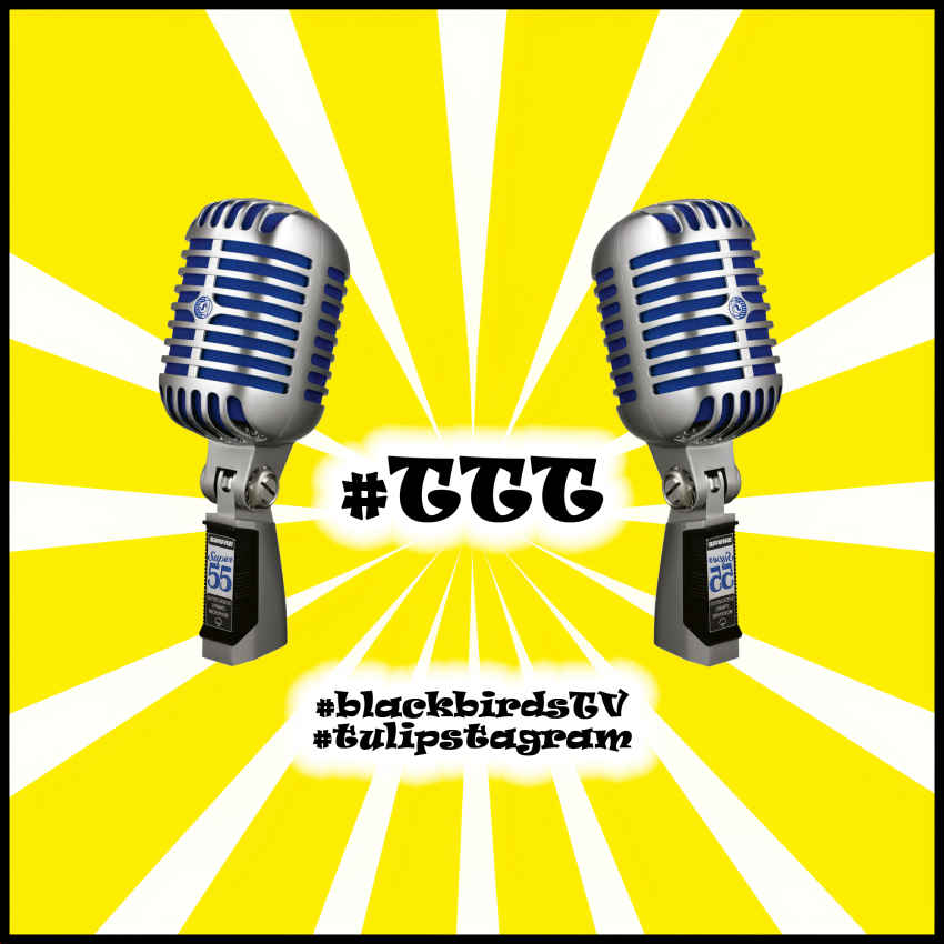 #Banner (gelb) #blackbirdsTV #xdrumEU #TulipstagramTV #gerichtspunkteDE